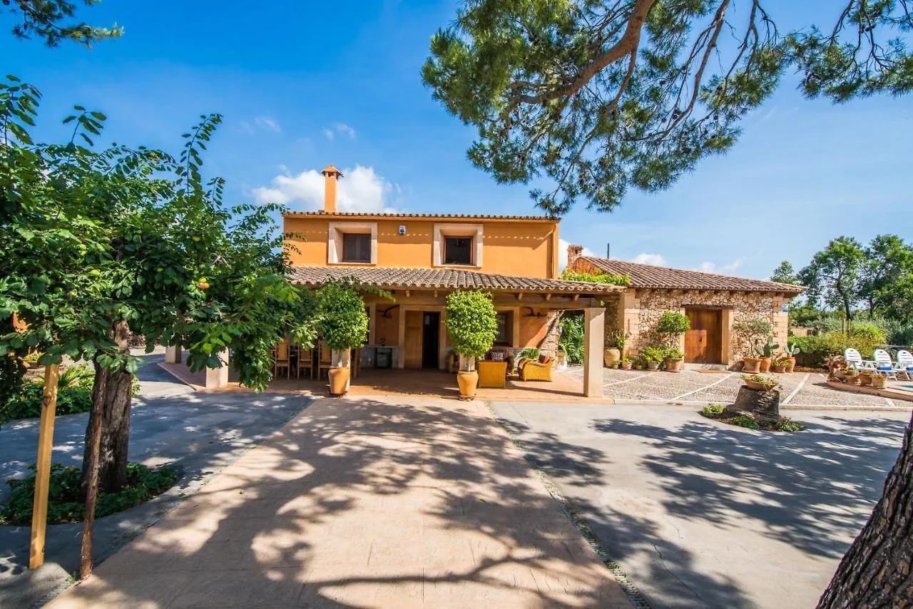 Ideal Property Mallorca - Villa Erika Inca  Spain