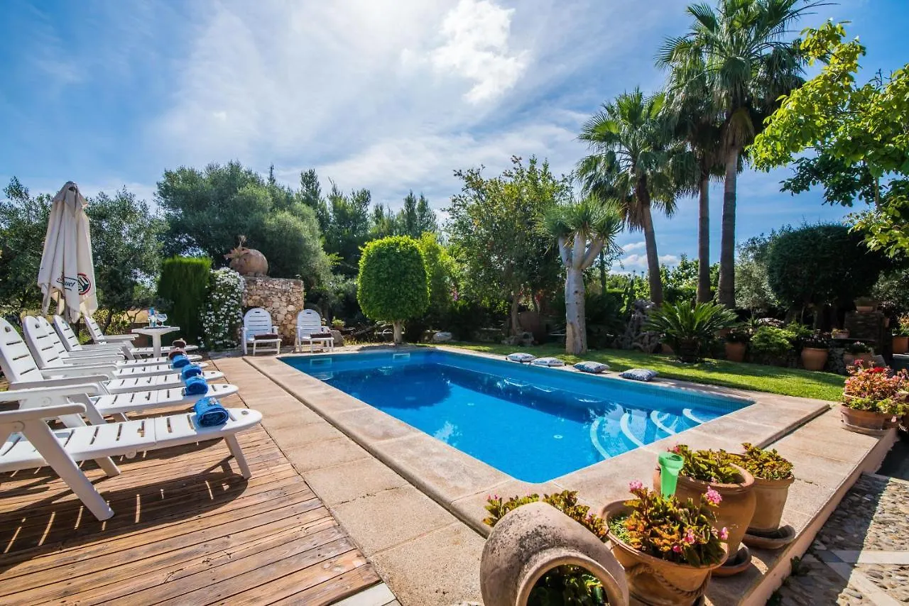 Ideal Property Mallorca - Villa Erika Inca  Country house Inca (Mallorca)