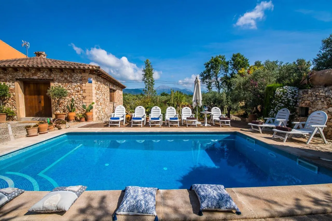 Ideal Property Mallorca - Villa Erika Inca  Country house Inca (Mallorca)