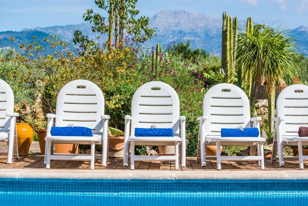 Ideal Property Mallorca - Villa Erika Inca  Inca (Mallorca)